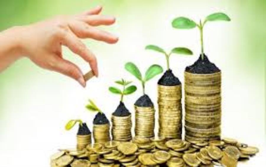 رویش سرمایه‌ها؛ نقشه تازه وزارت اقتصاد برای مهار تورم